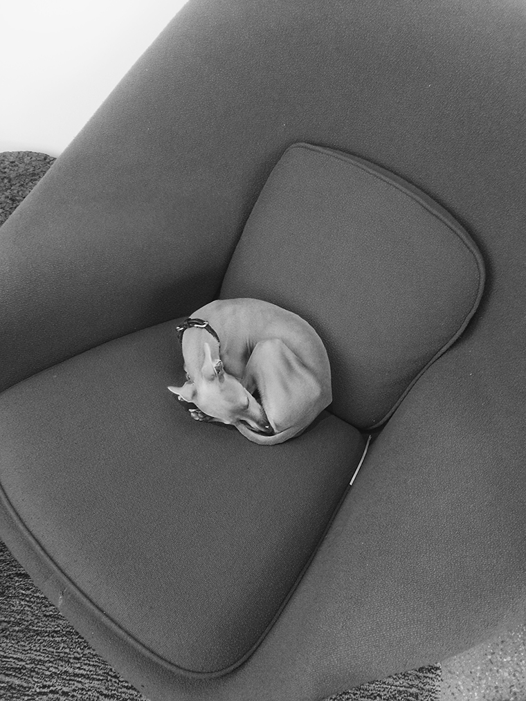 Processed with VSCOcam with b1 preset