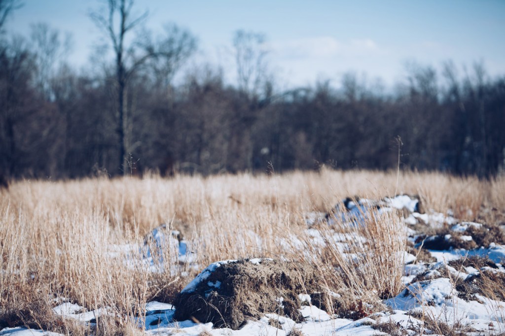 2016-02-17-07.17.46-1